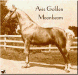 Avis' Golden Moonbeam